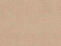 Ткань для перетяжки мебели из Коллекции Avoglon