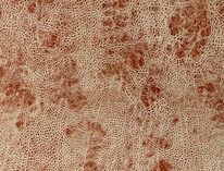 Ткань для перетяжки мебели из Коллекции Материал для обивки Замша Nixon купить