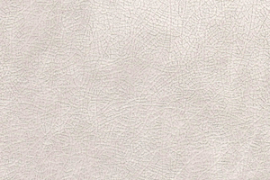 Ткань для перетяжки мебели Bliss 1