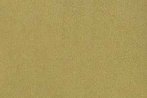 Ткань для перетяжки мебели Stone 562