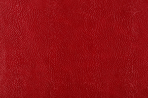 Ткань для перетяжки мебели Bizon 1