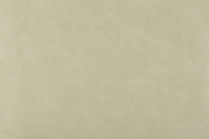 Ткань для перетяжки мебели Bizon 10