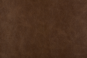 Ткань для перетяжки мебели Bizon 14