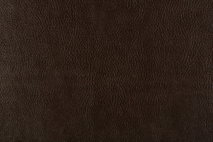 Ткань для перетяжки мебели Bizon 16