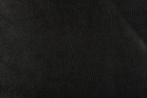 Ткань для перетяжки мебели Bizon 17