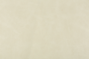 Ткань для перетяжки мебели Bizon 19