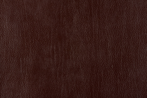 Ткань для перетяжки мебели Bizon 2