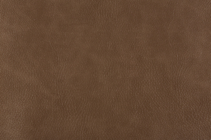 Ткань для перетяжки мебели Bizon 25