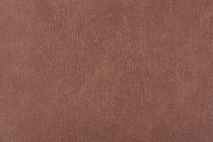 Ткань для перетяжки мебели Bizon 26