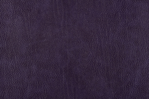 Ткань для перетяжки мебели Bizon 28