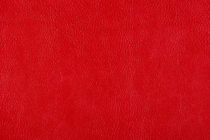 Ткань для перетяжки мебели Bizon 31