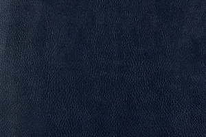 Ткань для перетяжки мебели Bizon 5