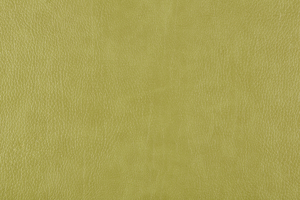 Ткань для перетяжки мебели Bizon 8