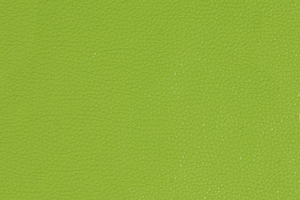 Ткань для перетяжки мебели Falcone 13GL