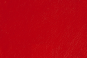 Ткань для перетяжки мебели Falcone 15GL