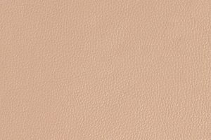 Ткань для перетяжки мебели Falcone 1GL