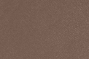 Ткань для перетяжки мебели Falcone 5GL