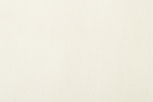 Ткань для перетяжки мебели Maksim_1_white