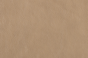 Ткань для перетяжки мебели Mango 3048