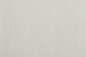 Ткань для перетяжки мебели Mango 813