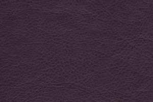 Ткань для перетяжки мебели Stainless 711