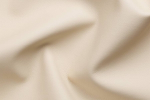 Ткань для перетяжки мебели ▪1124 Biscuit