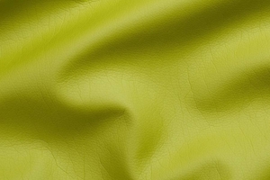 Ткань для перетяжки мебели ▪1131 Appl Green