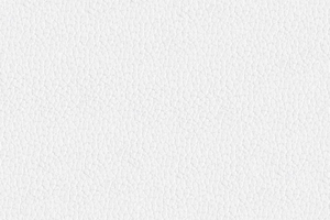 Ткань для перетяжки мебели 2303-01 Blanco 