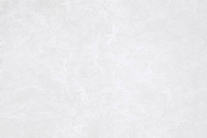 Ткань для перетяжки мебели White