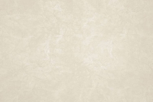 Ткань для перетяжки мебели Beige