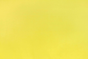 Ткань для перетяжки мебели Active plain 10