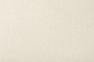 Ткань для перетяжки мебели Sky plain 1