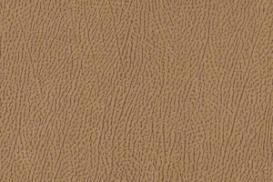 Ткань для перетяжки мебели Africa 10