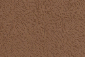 Ткань для перетяжки мебели Africa 13