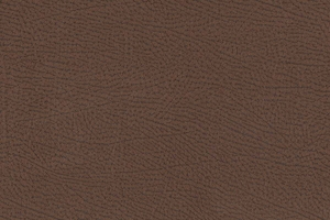 Ткань для перетяжки мебели Africa 15