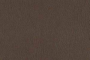 Ткань для перетяжки мебели Africa 16