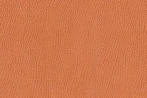 Ткань для перетяжки мебели Africa 17