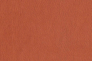 Ткань для перетяжки мебели Africa 18