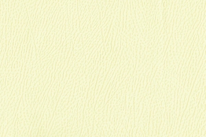 Ткань для перетяжки мебели Africa 2