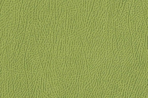 Ткань для перетяжки мебели Africa 25