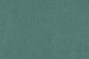 Ткань для перетяжки мебели Africa 27