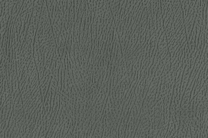 Ткань для перетяжки мебели Africa 29