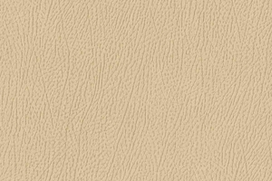 Ткань для перетяжки мебели Africa 3