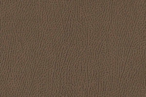 Ткань для перетяжки мебели Africa 34