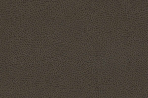 Ткань для перетяжки мебели Africa 35