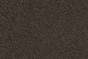 Ткань для перетяжки мебели Africa 37