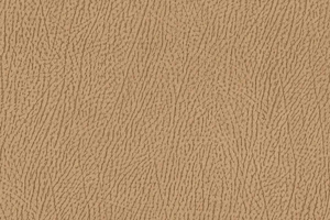 Ткань для перетяжки мебели Africa 8