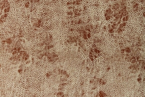 Ткань для перетяжки мебели Nixon 2